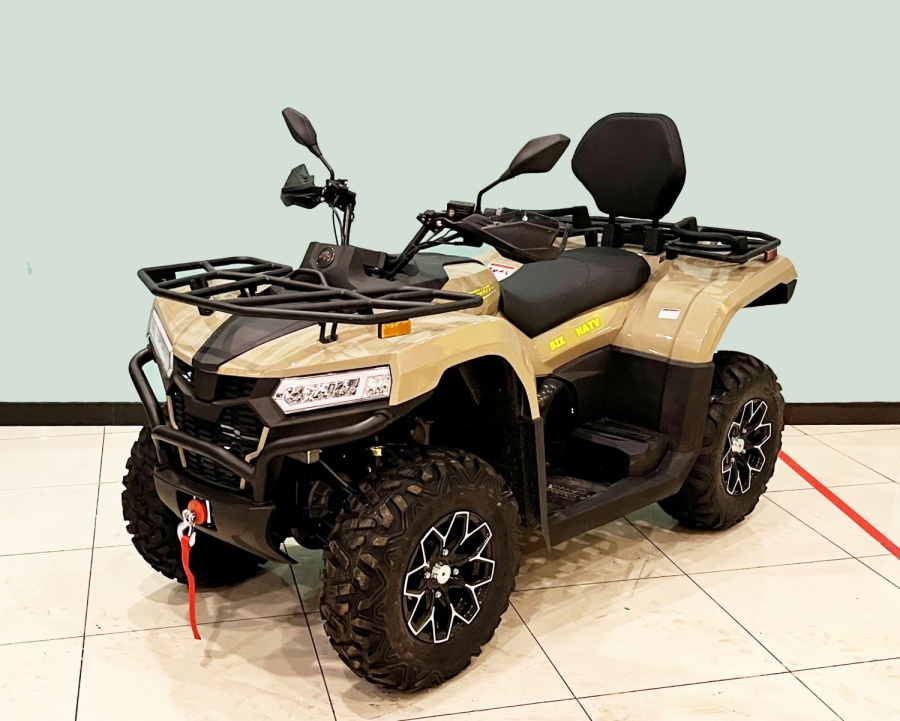 купить Квадрицикл Bizon YK450AL EPS (ПТС)