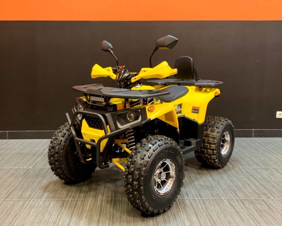 купить Квадроцикл Bison Forest 125 Lux