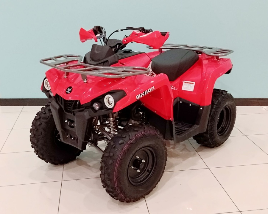 купить Квадроцикл Mikilon Hammer 200L
