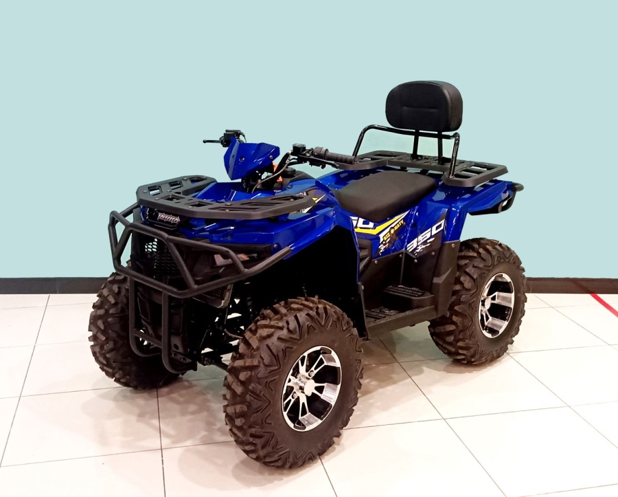 купить Квадроцикл Bizon ZX350